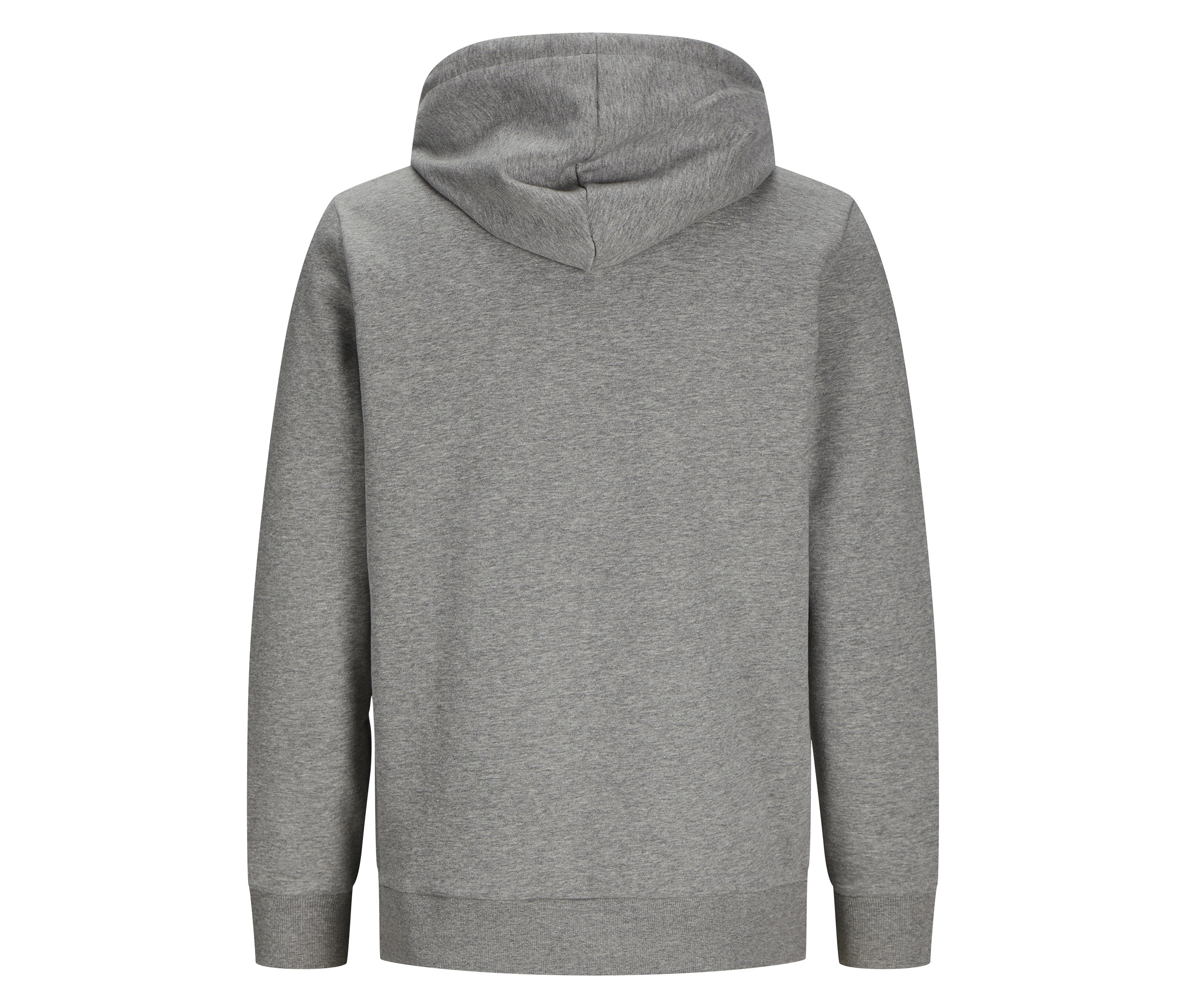 DAY ZIP HOOD