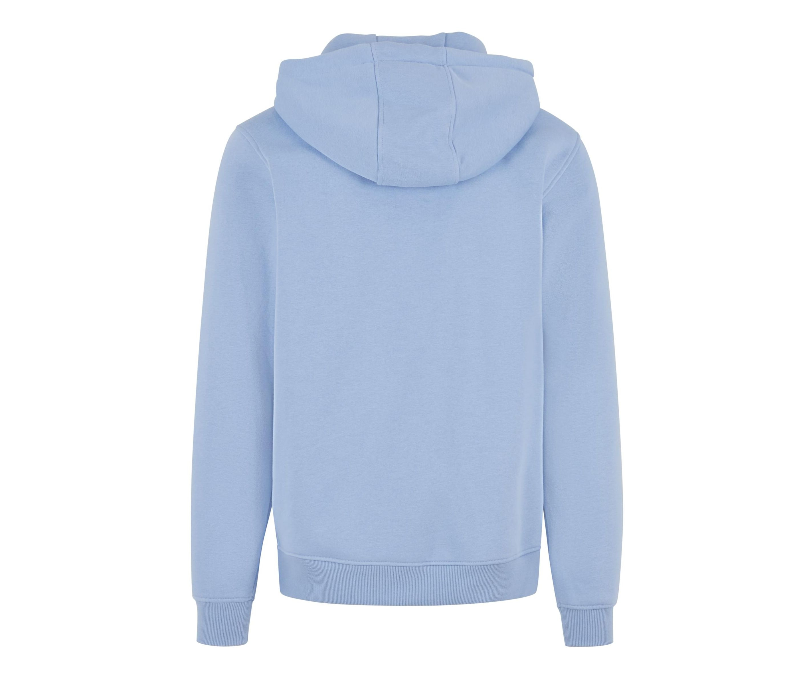 BASIC HOODY