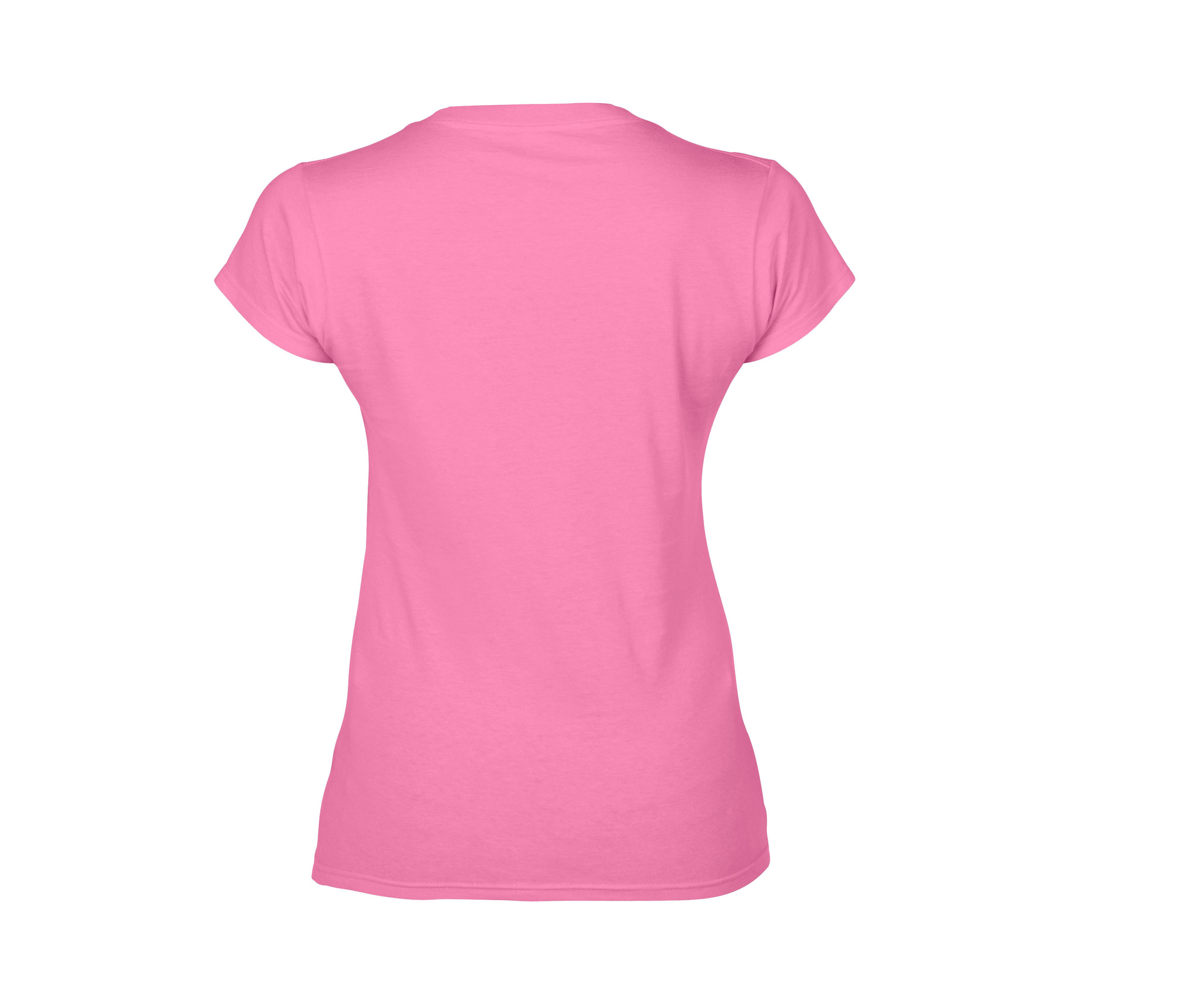 SOFTSTYLE LADIES' V-NECK T-SHIRT